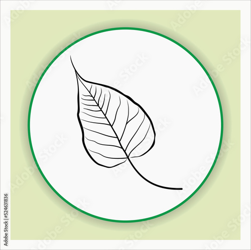 bodhi leaf icon vector design illustration line art photo