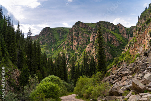 Rocky mountains and firs near Almaty city  Kazakhstan