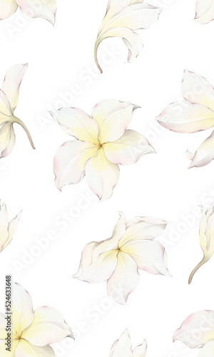 seamless pattern with plumeria flowers
