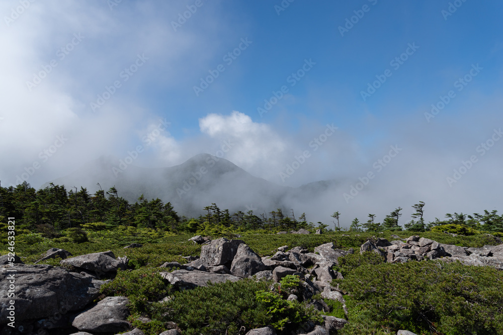 中山展望台 北八ヶ岳 中山展望台 北八ヶ岳