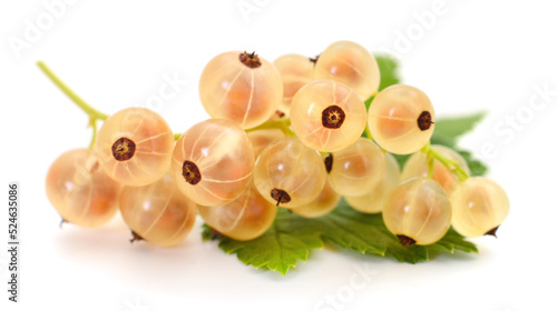 White currants with green leaves.