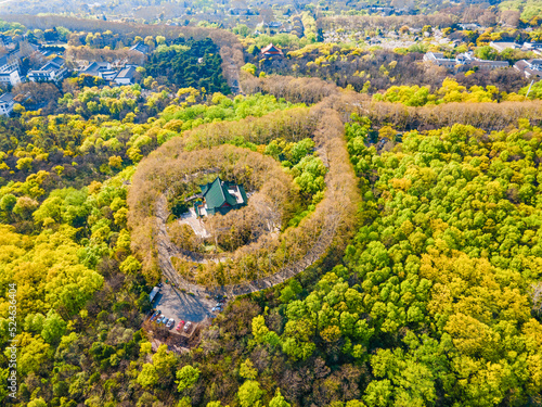 Aerial photography of Meiling Palace Scenic Spot in Nanjing City, Jiangsu Province, China in autumn and the Nanjing urban building complex in the distance photo