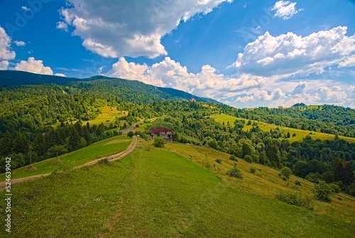 background nature of the Carpathians. mountain landscape on a bright sunny day. beech forest on the grassy meadow.  travel and tourism concept. © robertuzhbt89