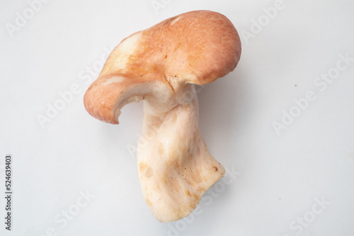 Ugly form mushroom on white table