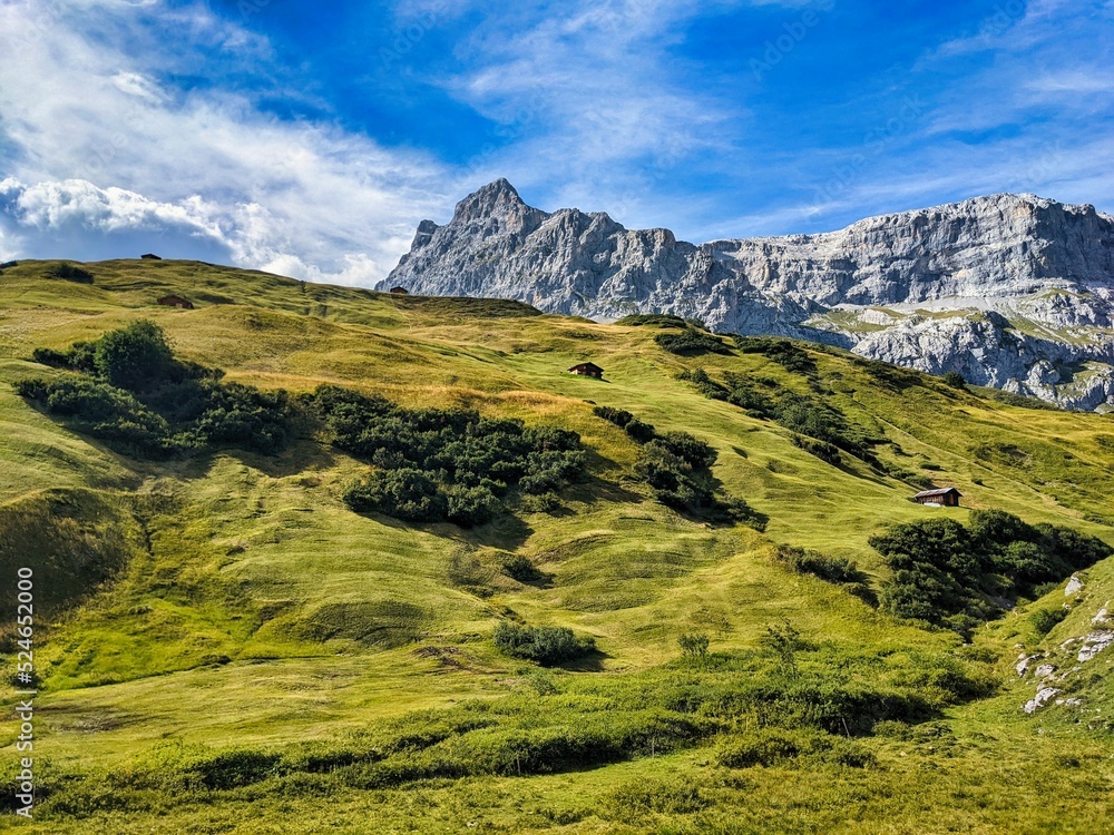 Obraz premium View of the beautiful green alp meadows with the sulzfluh mountain. Partnun. St.Antonien. Mountaineering. High quality photo