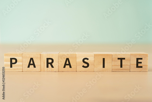 寄生・寄生虫・居候のイメージ｜「PARASITE」と書かれたブロック 