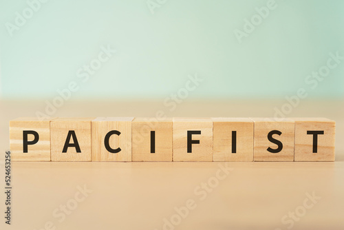 Canvastavla 平和主義者のイメージ｜「PACIFIST」と書かれたブロック