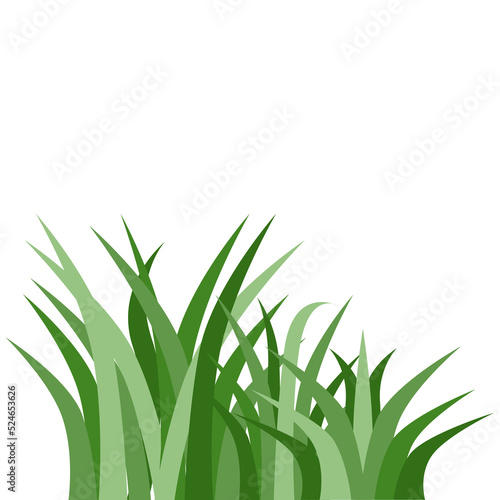 Plants Reed Shrubs Bush Trees Green Forest Realistic Nature