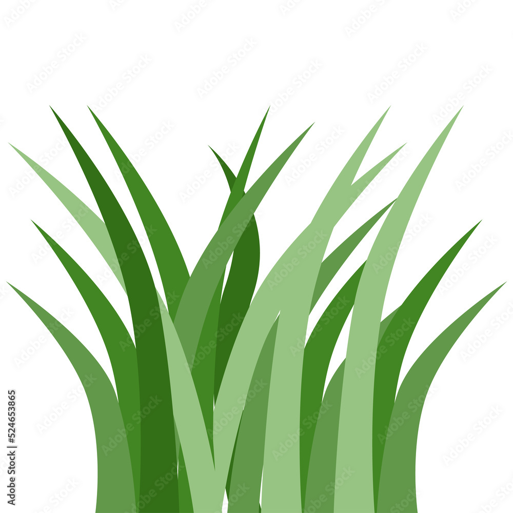 Obraz premium Plants Reed Shrubs Bush Trees Green Forest Realistic Nature