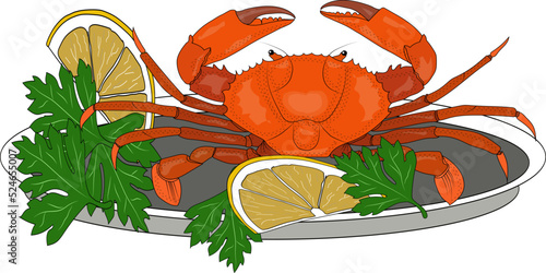 A tray with a large crab, fragrant lemon slices and sprigs of green parsley.