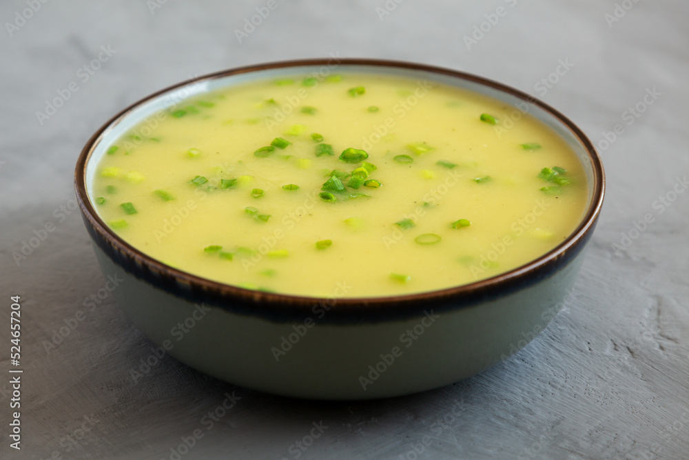 Homemade Potato Leek Soup in a Bowl on a gray background, side view. Homemade Potato Leek Soup in a Bowl on a gray background, side view.
