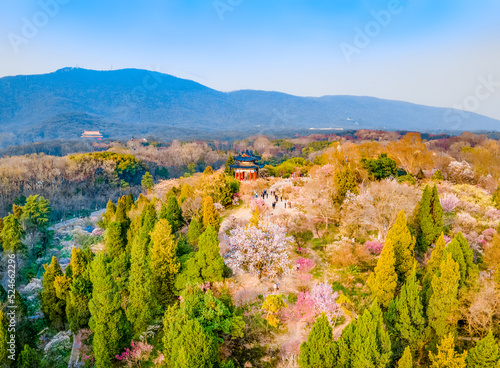 Foto Aerial photography of Meihua Mountain in the Ming Xiaoling Mausoleum Scenic Spot