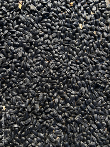 Black sunflower seeds drying in the sun. Natural texture from sunflower seeds