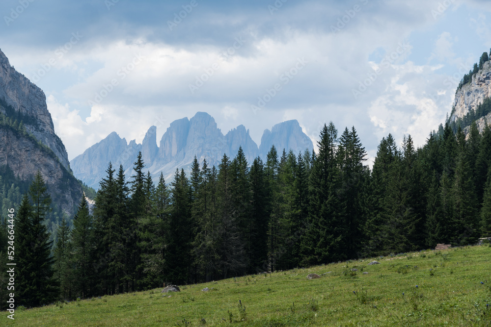 panorama of the mountains, Contrin Valley, Dolomites  Alps, Italy 