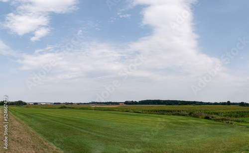 panorama pola w krajobrazie wiejskim, obszary porośnięte trawami, drzewa w tle pora letnia lekko pochmurna pogoda