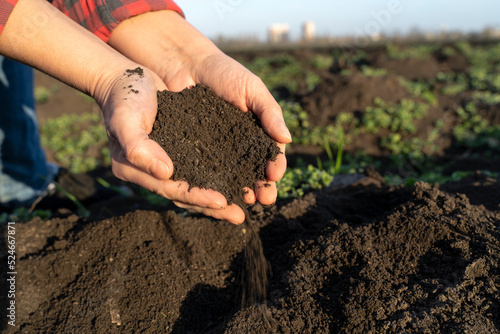 Agronomist checks the fertility of the soil. Agriculture concept. Expert Farmer checks the soil moisture in the field. Clean, healthy, fertile high quality black soil