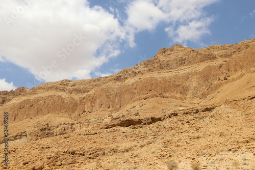 Mountains and rocks in the Judean Desert in the territory of Israel. © shimon