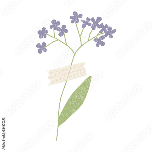 Hand drawn dried flower with washi tape . Vector element isolaten on white background © chulock