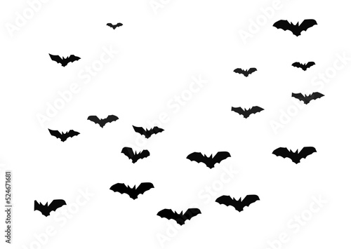 flock of bats vector icon © Khoirul yaqin