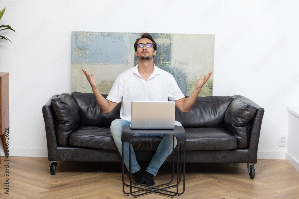 Handsome man sitting on the couch and working on laptop in the living room at home