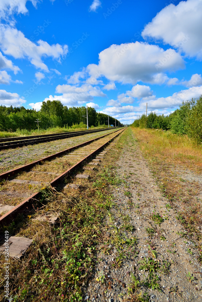 Fototapeta premium Railway tracks stretching into the distance on a summer day