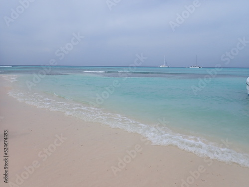Caribbean Beach © elvis santana