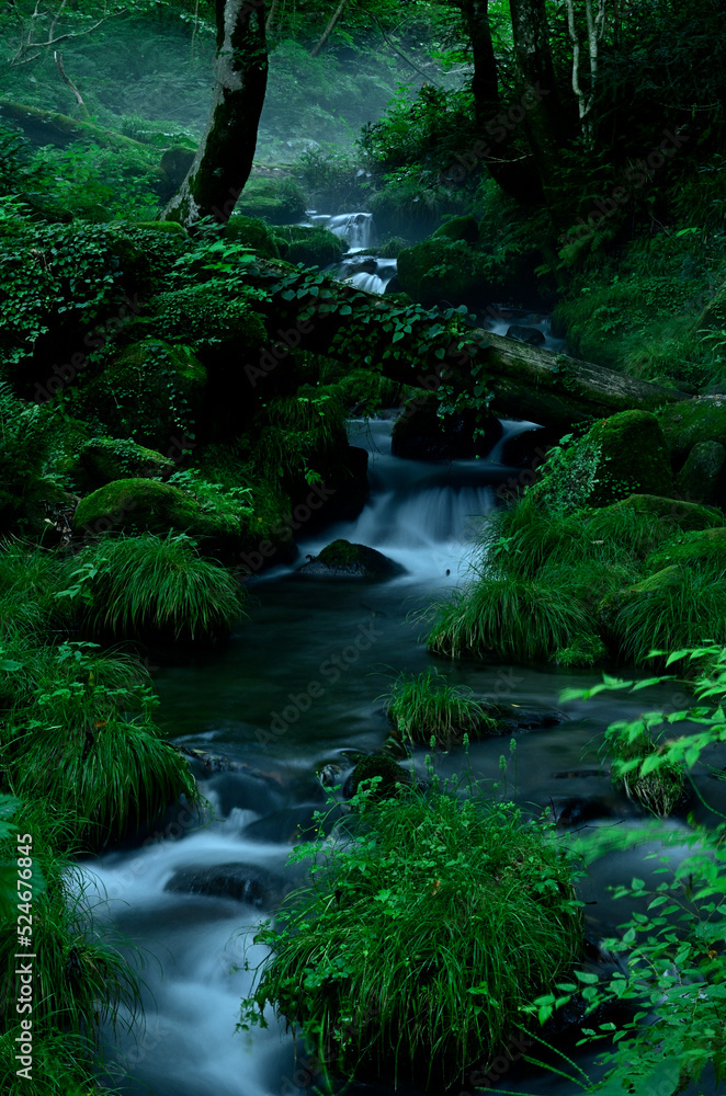 waterfall in the forest waterfall in the forest