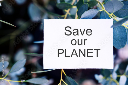 Save our planet words message written on white paper over green eucalyptus background. Save planet, climate changes concept © Inga