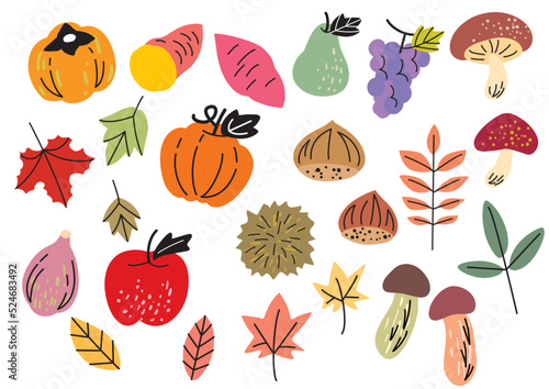 シンプル、おしゃれな秋の野菜果物のイラスト素材セット
