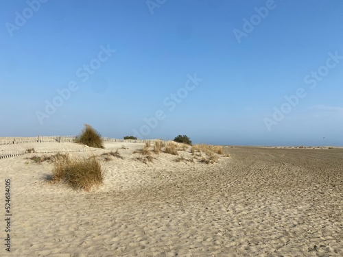 Fototapeta Naklejka Na Ścianę i Meble -  sand dunes on the beach in le Grau-du-roi