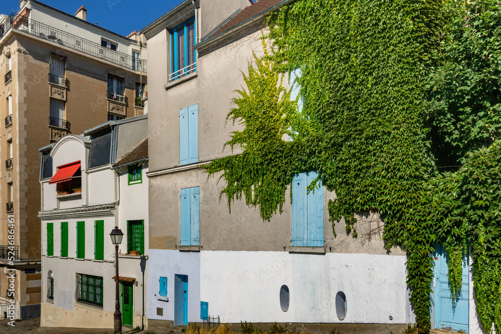 Fototapeta premium Old house covered by ivy in Montmartre, Paris