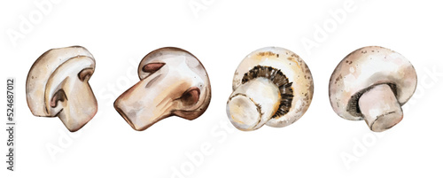Set of mushroom watercolor vector isolated on white background