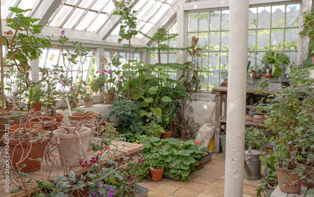 The beautiful old Danish greenhouse