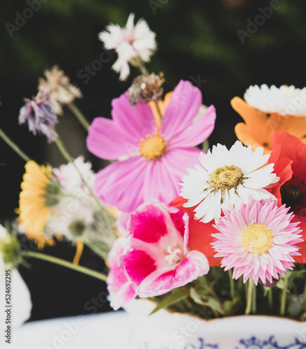 The beautiful Danish summer flowers