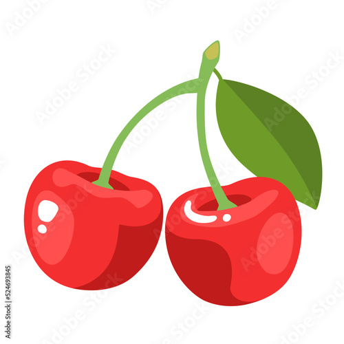 Fresh Red Cherry fruit on isolated white background. Vector illustration flat cartoon outline design.