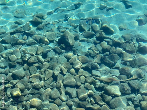 Rocks in Clear Water © Gergana