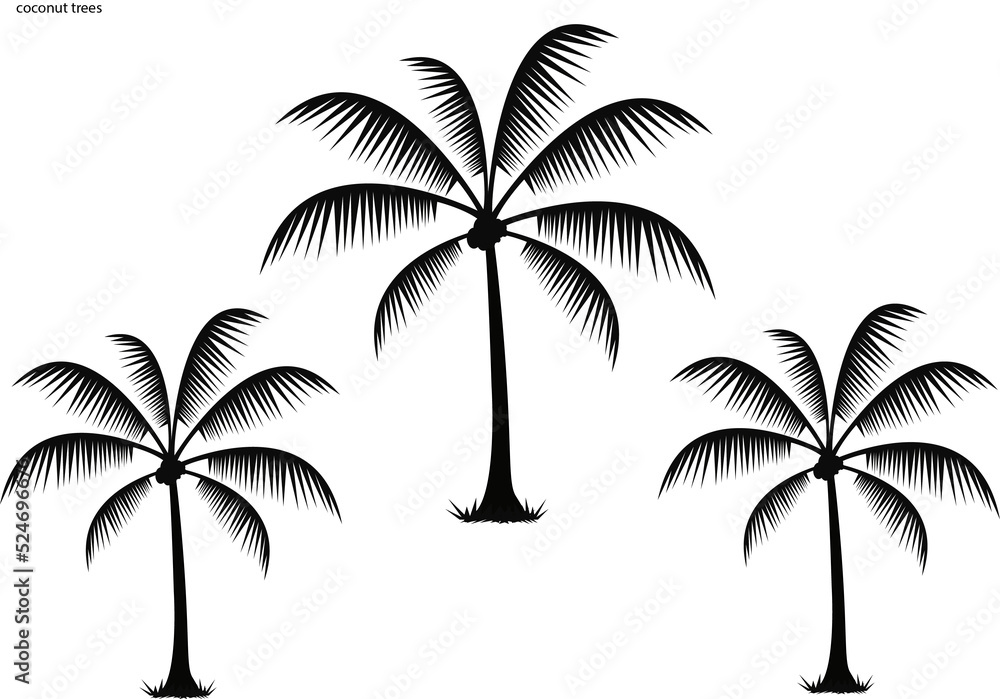 Obraz premium coconut trees