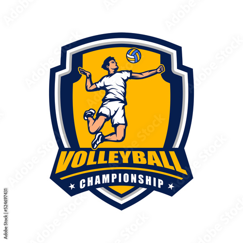 volleyball logo