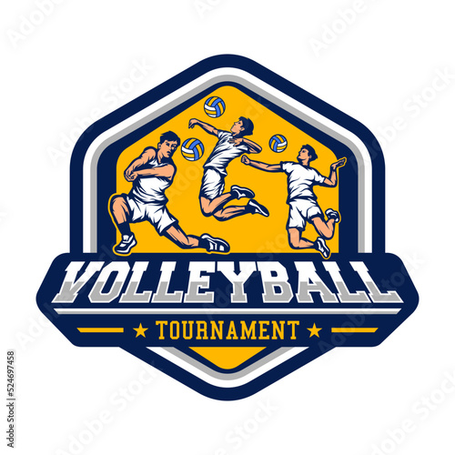 volleyball logo