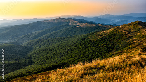Fototapeta Naklejka Na Ścianę i Meble -  Bukowska mountain meadow, Bieszczady National Park, Poland.