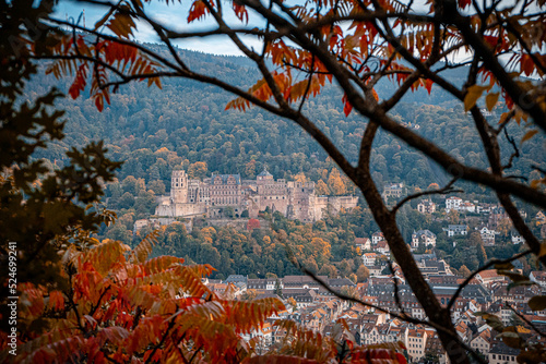 Wallpaper Mural Heidelberg Torontodigital.ca