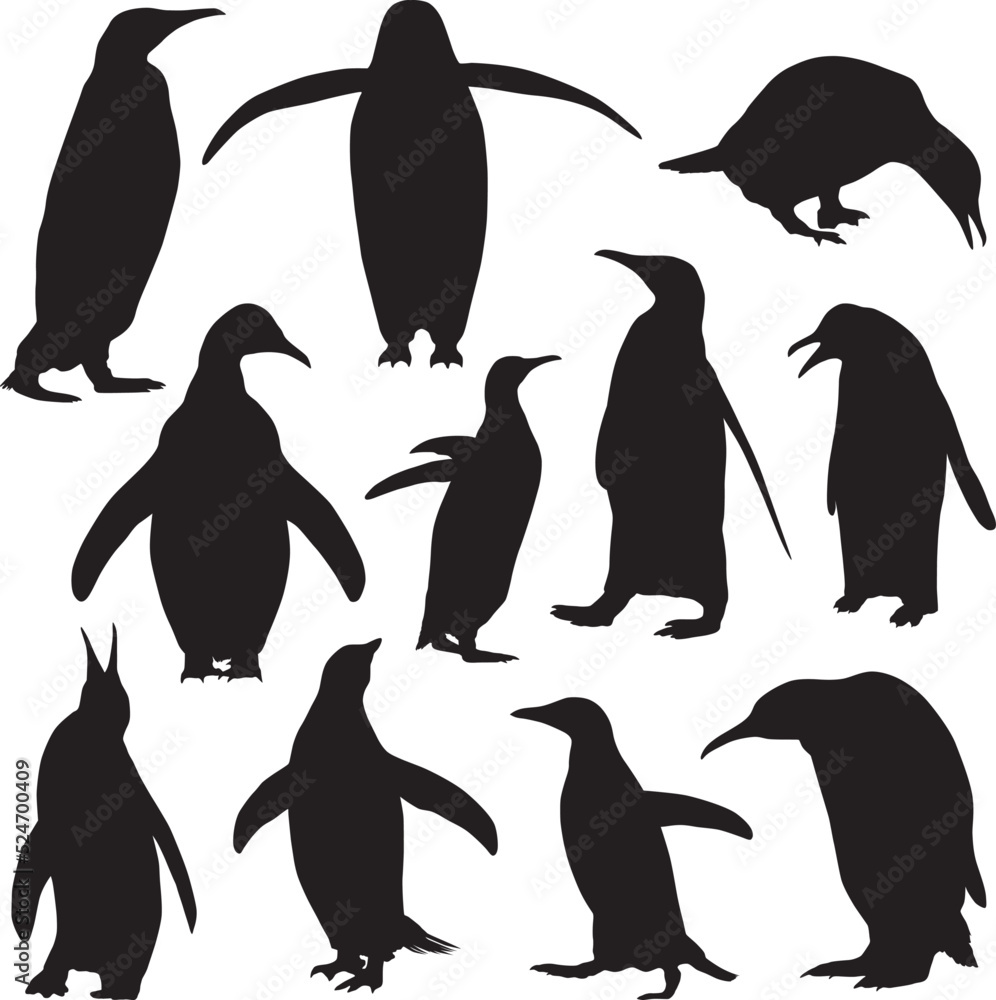 Naklejka premium penguin silhouette