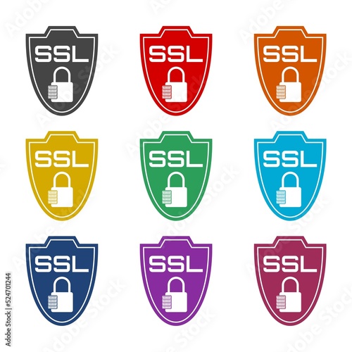 Ssl shield icon. Set icons colorful