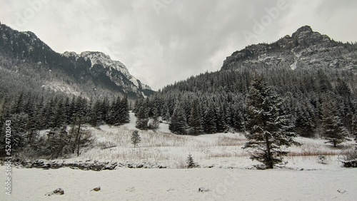 Snow covered mountains