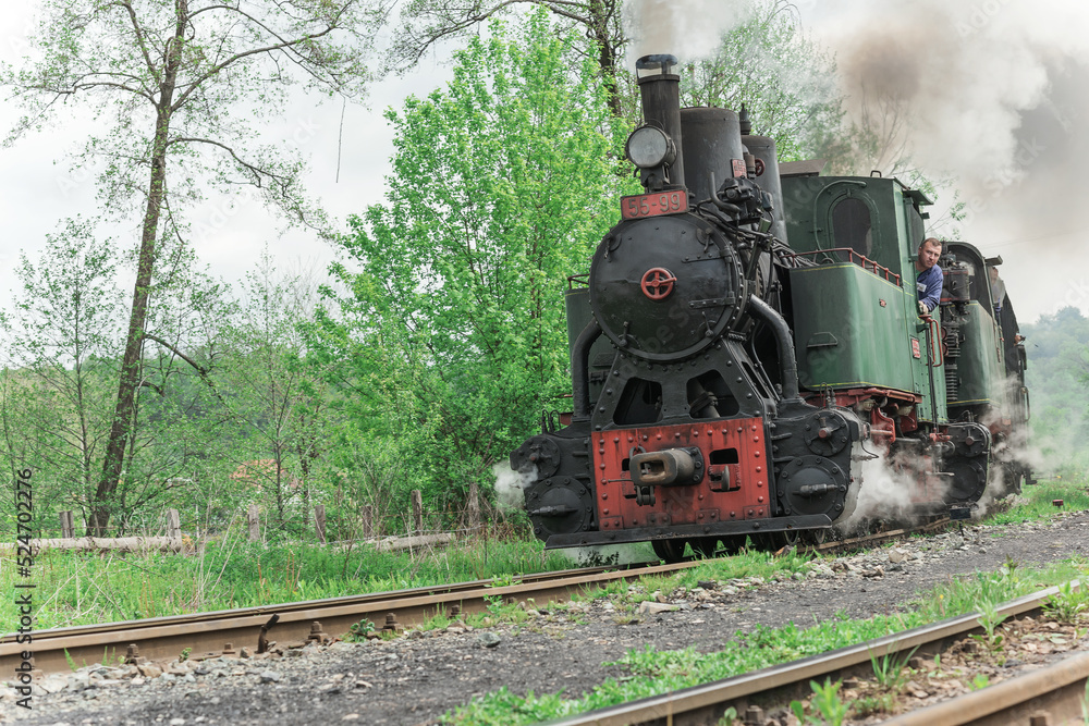 Naklejka premium Old steam locomotive