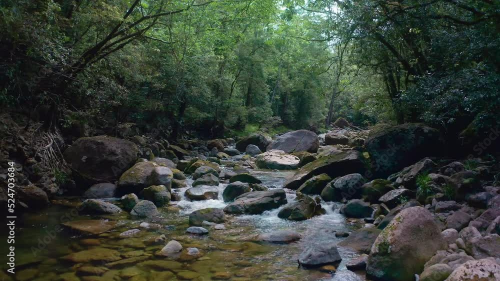 Tropical nature of Daintree Rainforest national park. Mossman Gorge river stream Tropical nature of Daintree Rainforest national park. Mossman Gorge river stream