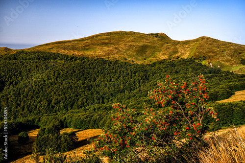 Fototapeta Naklejka Na Ścianę i Meble -  The highest part of the Bieszczady Mountains in Poland in the late summer morning.