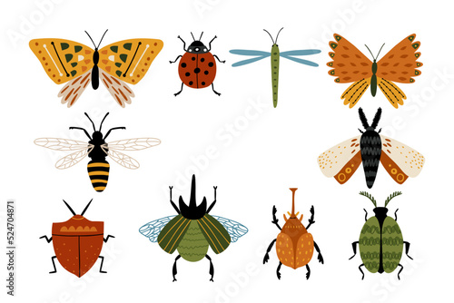 Collection of forest insects drawn in flat style. Butterflies, beetles, dragonflies. The wild nature.