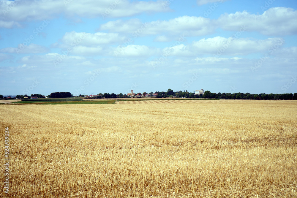 Fototapeta premium Paysage campagne Ile de France