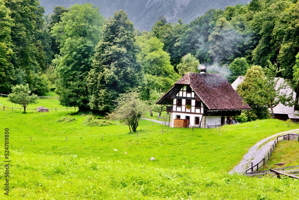typical swiss german house in the mountains with pasture typical swiss german house in the mountains with pasture